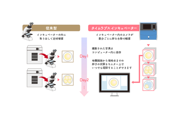 安定した環境下での受精卵観察